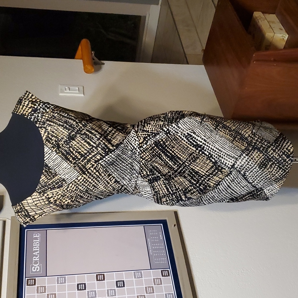 NWOT Classic Dress